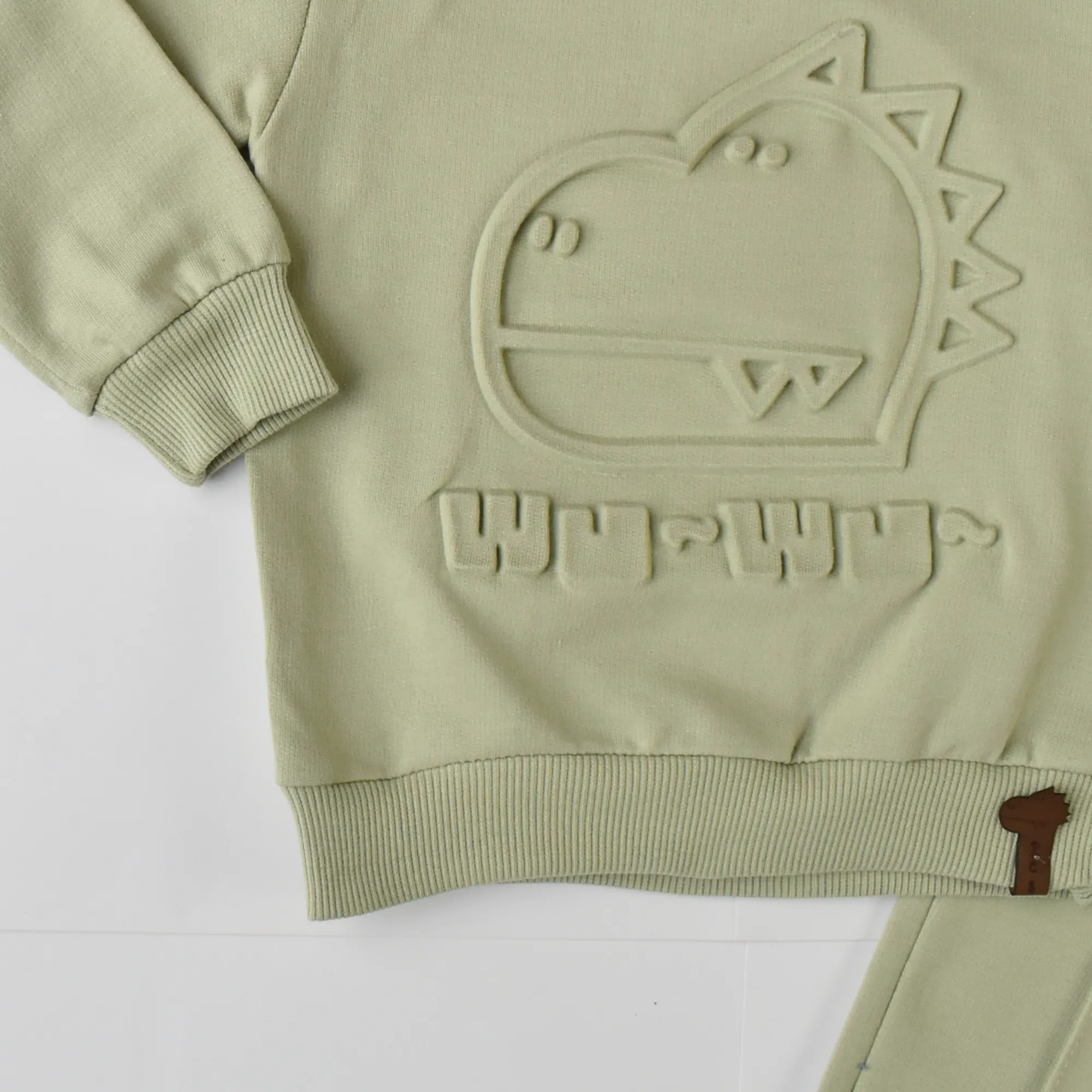 Dino Boys Cotton Joggers Set