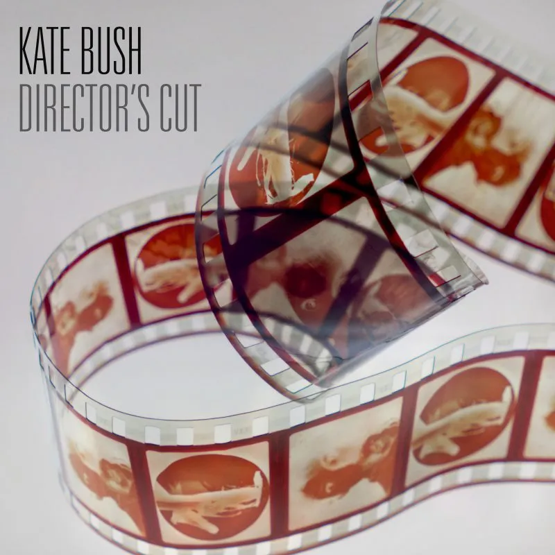 Director's Cut (CD)