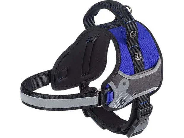 HERCULES P HI-TECH BLUE NYLON HARNESS