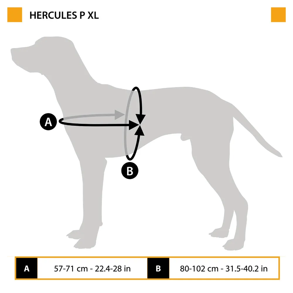 HERCULES P XL