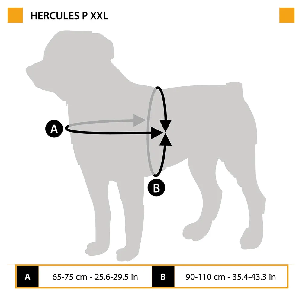 HERCULES P XXL