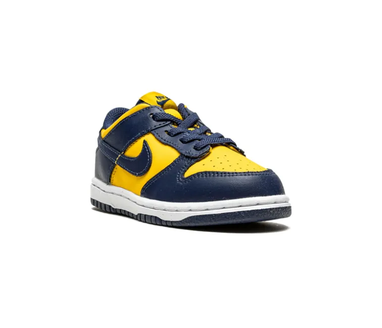 Kids Nike Dunk Low (Michigan)