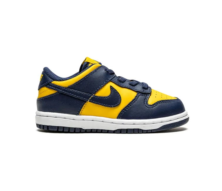 Kids Nike Dunk Low (Michigan)