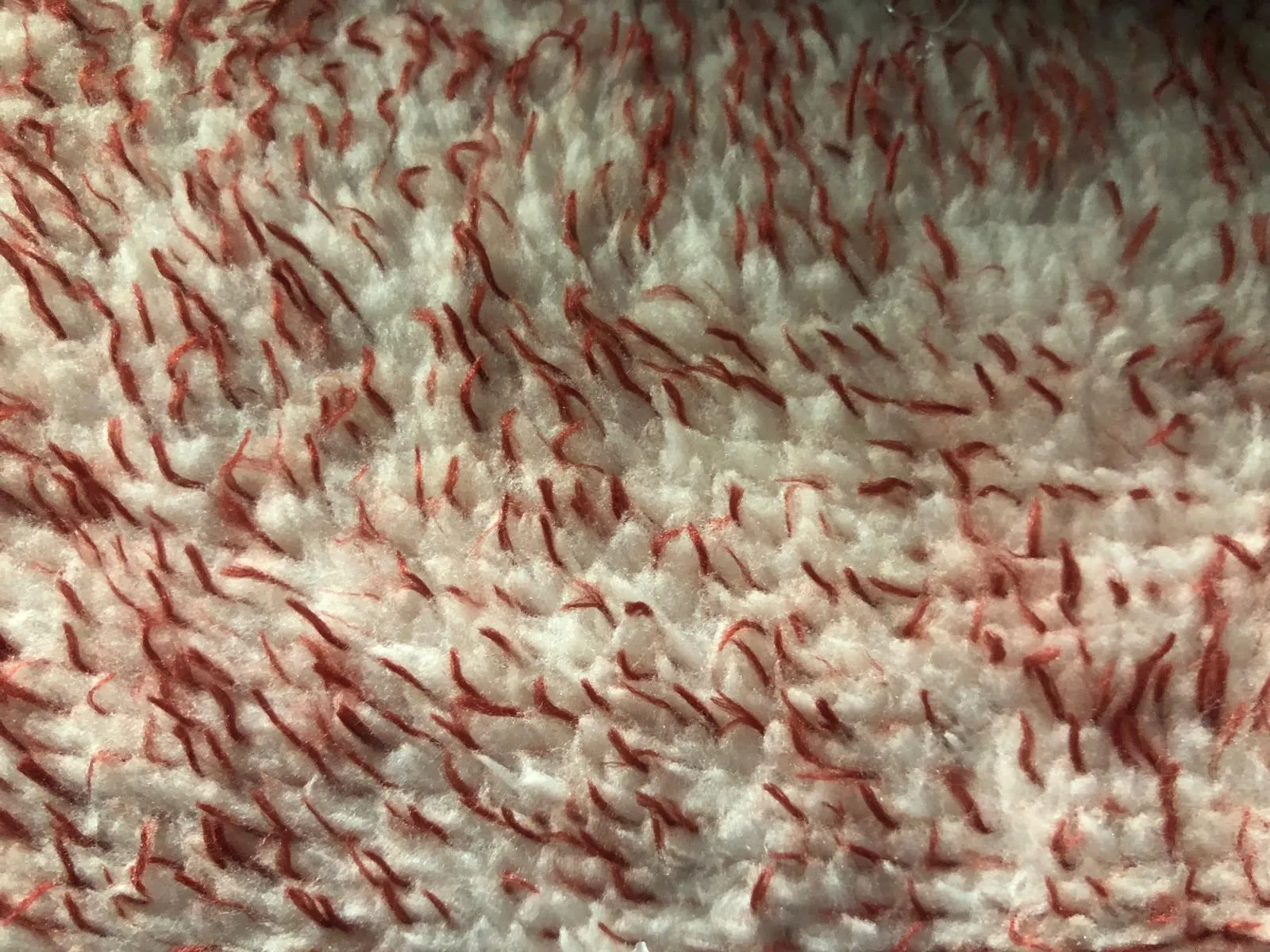 Minky Fleece - Red