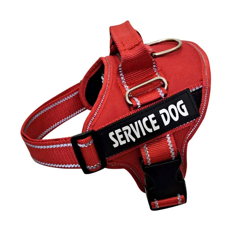 Personalized Copybook Reflective Dog Harness